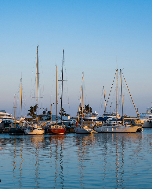Shore Excursions